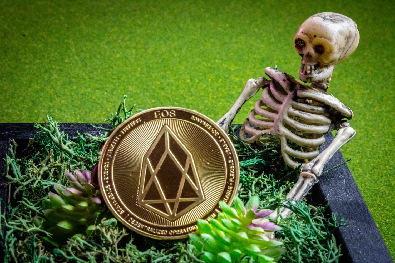 does eos crypto have a product