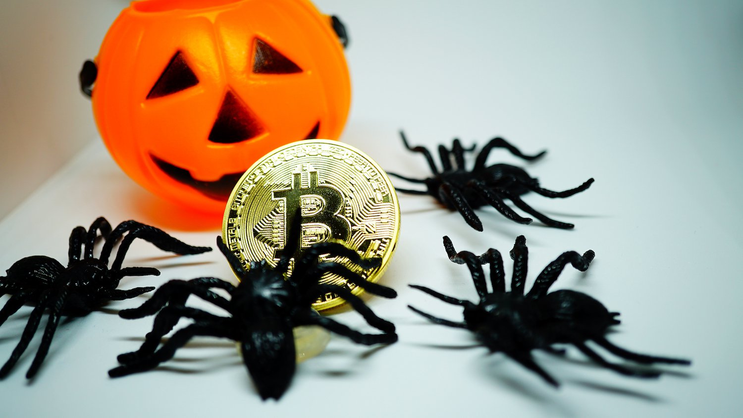 cryptocurrency halloween costume